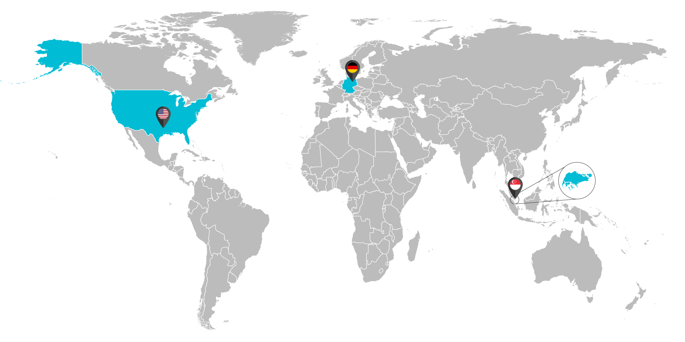 World map of HoloMedicine® Centres of Excellence