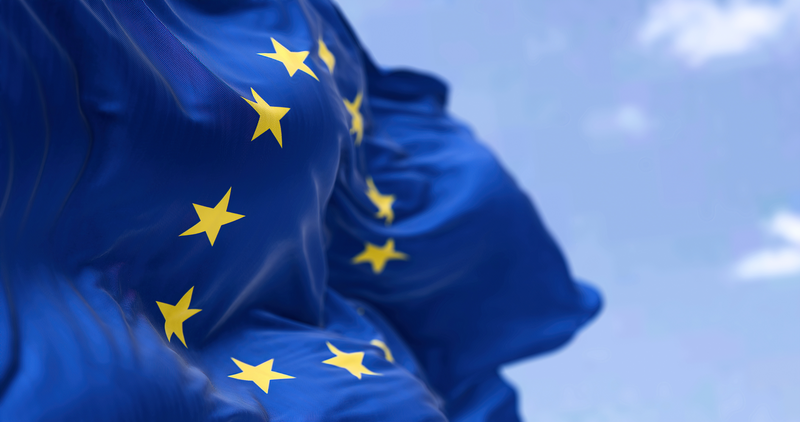 Feedback submitted to the European Health Data Space consultation